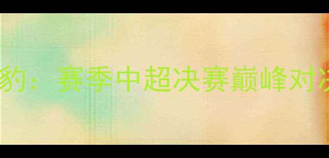 图片 辽宁队夺冠VS新疆雪豹：赛季中超决赛巅峰对决，谁将问鼎冠军？1