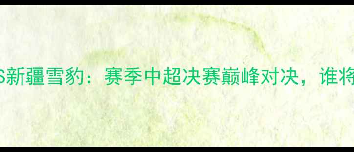 图片 辽宁队夺冠VS新疆雪豹：赛季中超决赛巅峰对决，谁将问鼎冠军？2