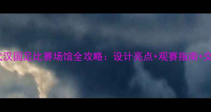 图片 震撼！武汉国足比赛场馆全攻略：设计亮点+观赛指南+交通攻略1