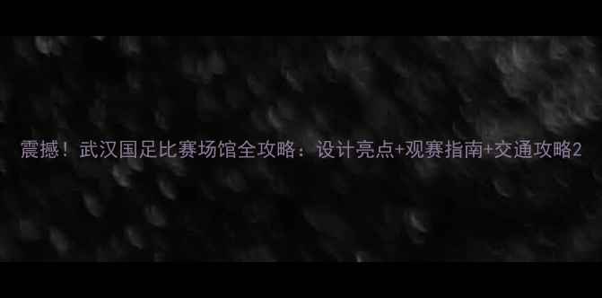 图片 震撼！武汉国足比赛场馆全攻略：设计亮点+观赛指南+交通攻略2
