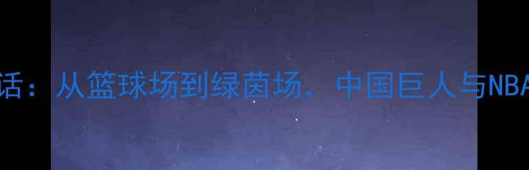 图片 霍华德与姚明跨界对话：从篮球场到绿茵场，中国巨人与NBA铁闸的足球奇幻之旅