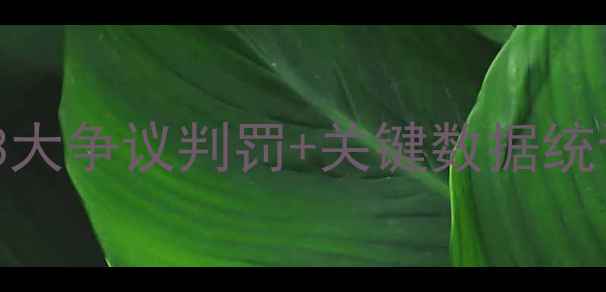 图片 鲁能vs重庆比赛结果深度！3大争议判罚+关键数据统计，VAR如何改变比赛走向？