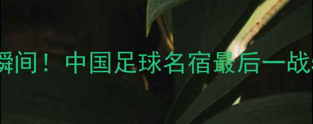 图片 🌟杜锋退役战破门瞬间！中国足球名宿最后一战5大高光数据深度🌟