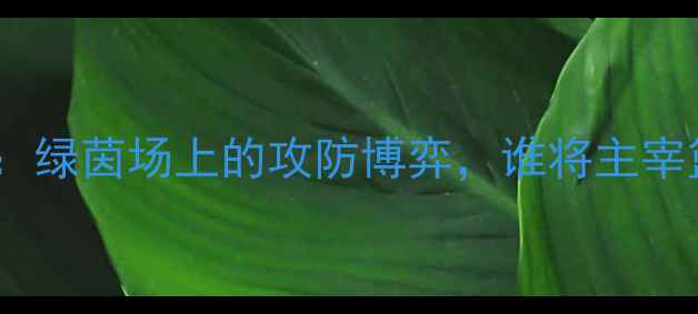 图片 🏀雄鹿vs猛龙：绿茵场上的攻防博弈，谁将主宰篮球圣战？🏀2