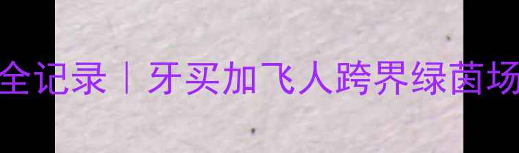 图片 🏆博尔特足球友谊赛全记录｜牙买加飞人跨界绿茵场狂飙60米竟输球真相