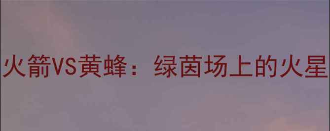 图片 🔥06年足坛巅峰对决｜火箭VS黄蜂：绿茵场上的火星撞地球！深度经典战役