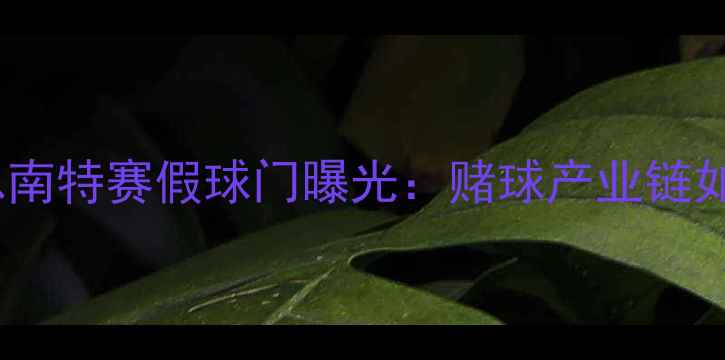 图片 🔥法甲惊天丑闻！雷恩南特赛假球门曝光：赌球产业链如何摧毁职业足球？🔥2